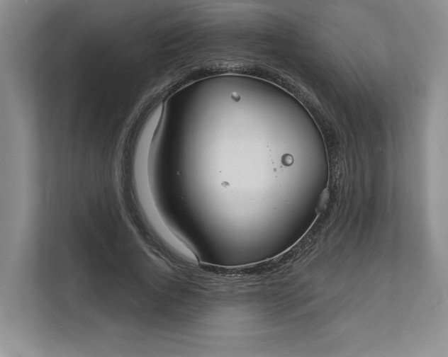 X0000111820736200908061135