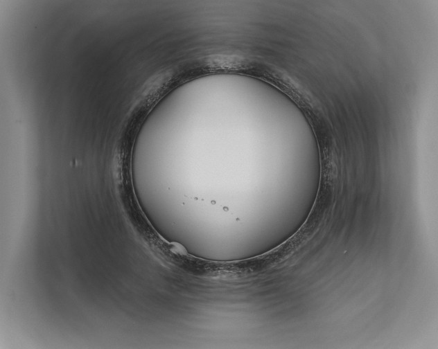 X0000111820738200908061135