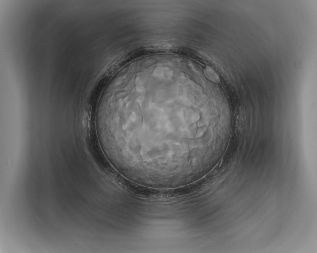 X0000111820739200908061135