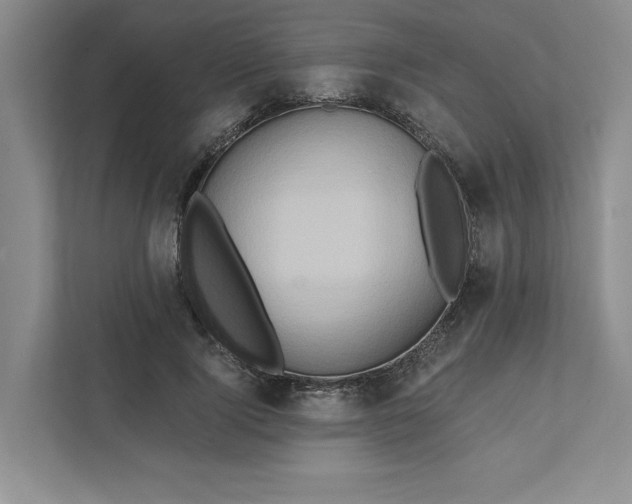 X0000111820740200908061135