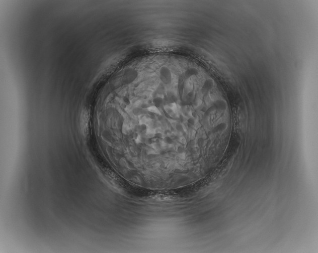 X0000111820742200908061135