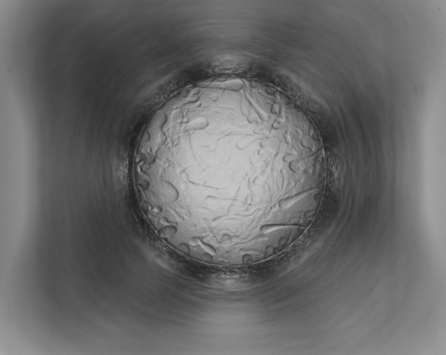 X0000111820745200908061135