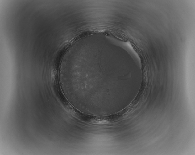 X0000111820747200908061135