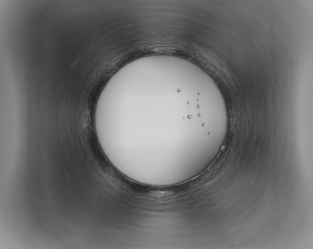 X0000111820748200908061135