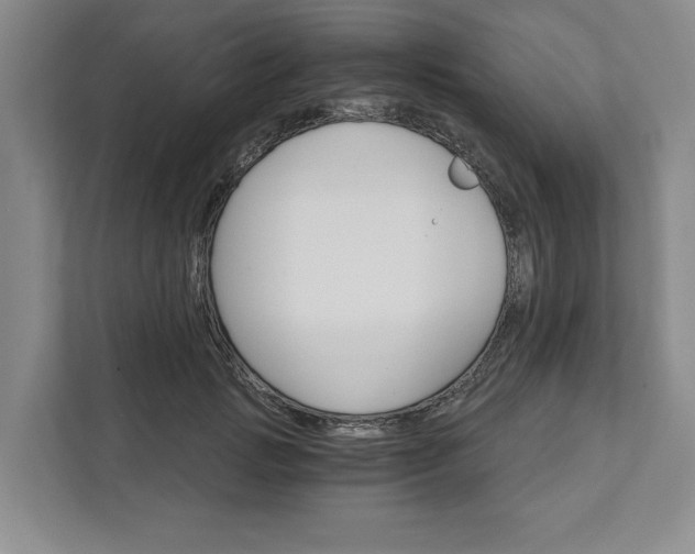 X0000111820749200908061135