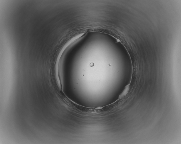 X0000111820750200908061135