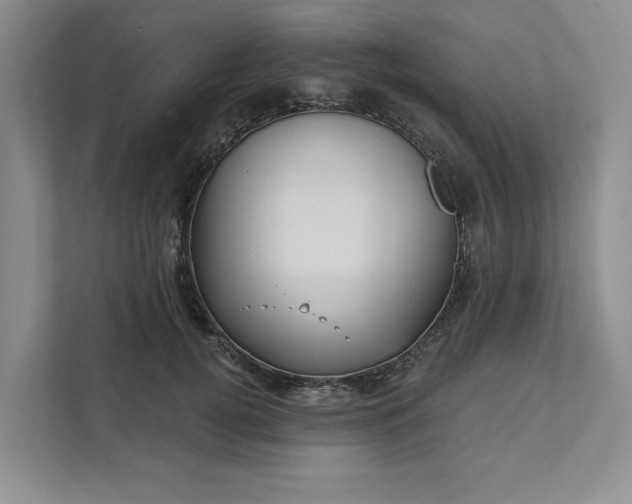 X0000111820752200908061135