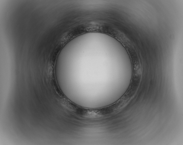 X0000111820753200908061135