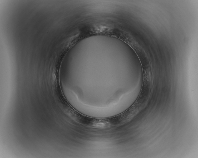 X0000111820754200908061135