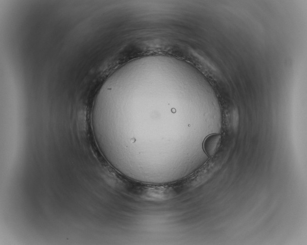 X0000111820757200908061135