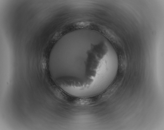 X0000111820758200908061135