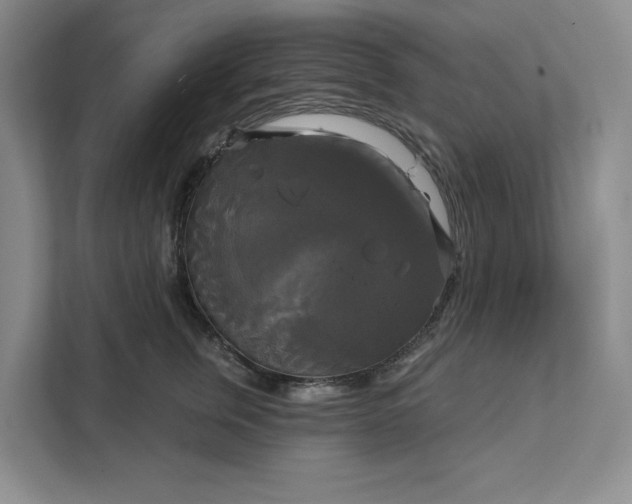 X0000111820759200908061135