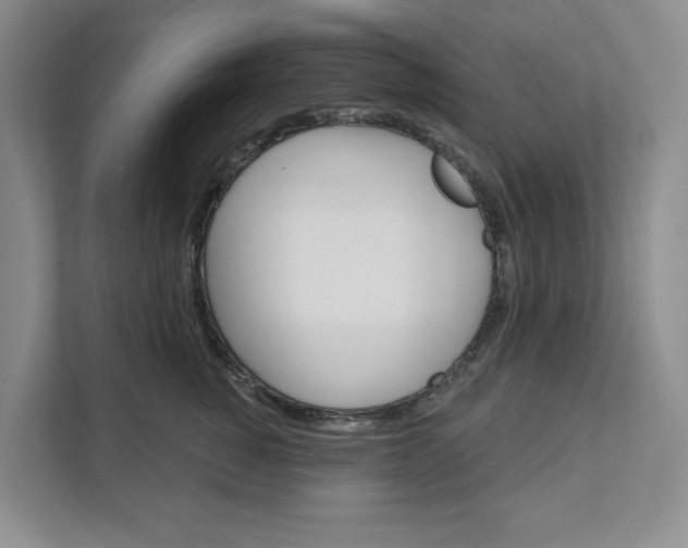 X0000111820760200908061135