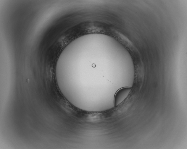 X0000111820761200908061135