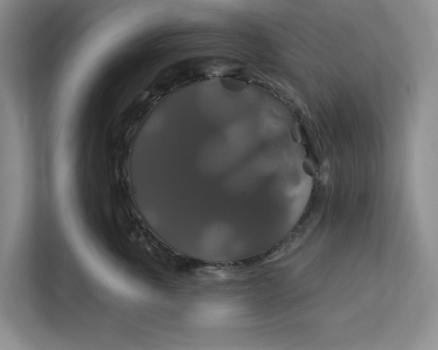 X0000111820763200908061135