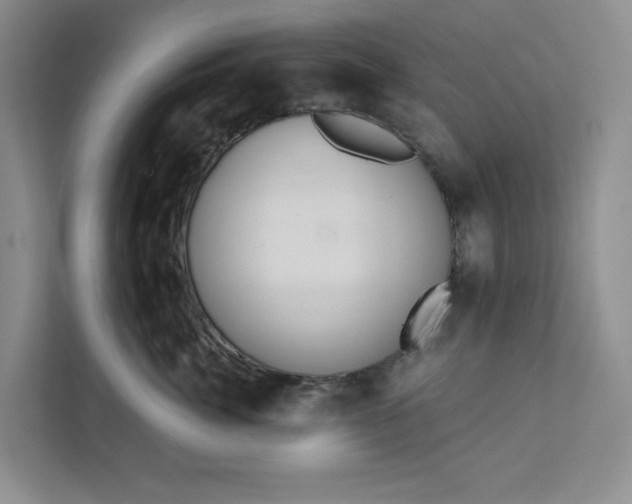 X0000111820764200908061135