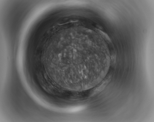 X0000111820765200908061135