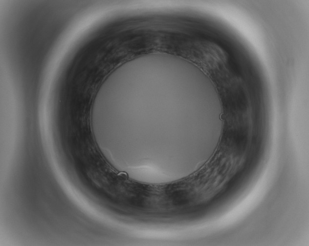 X0000111820766200908061135