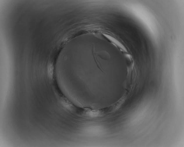 X0000111820767200908061135