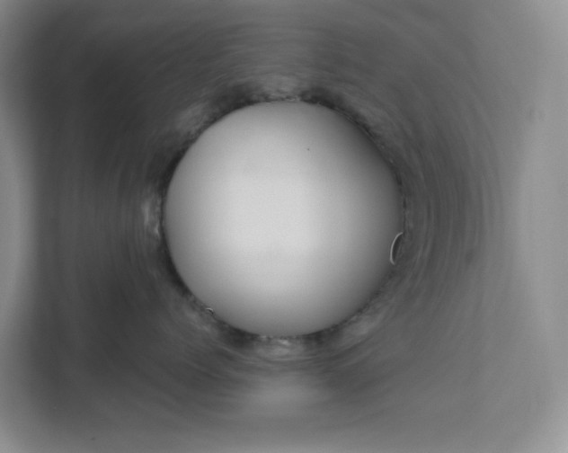 X0000111820768200908061135