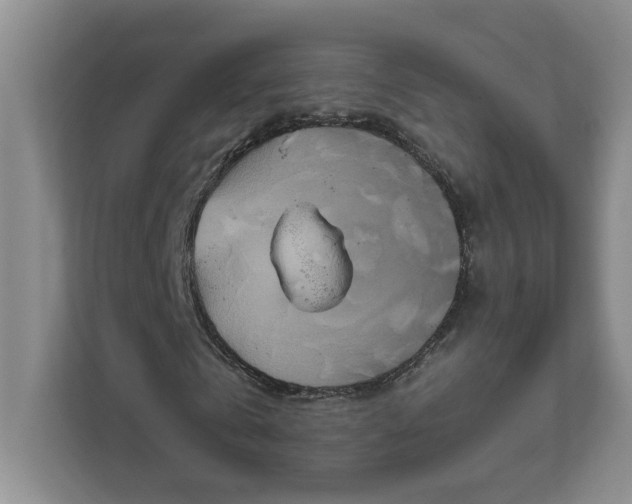 X0000111820769200908061135