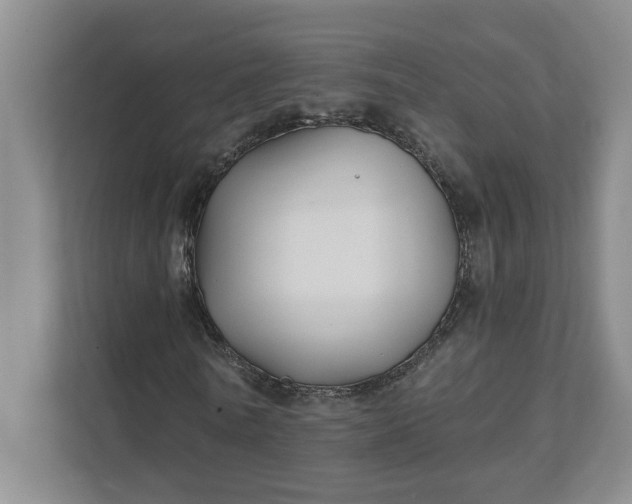 X0000111820770200908061135