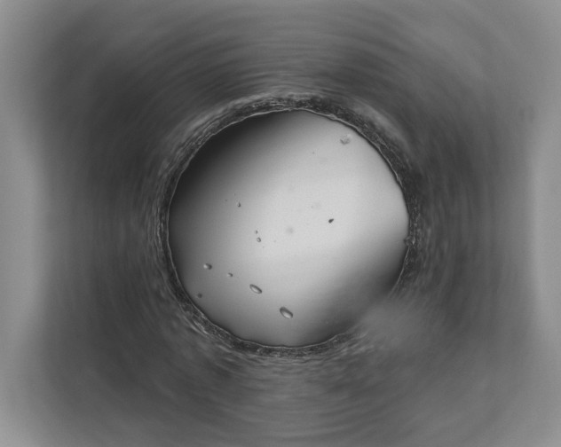 X0000111820773200908061135