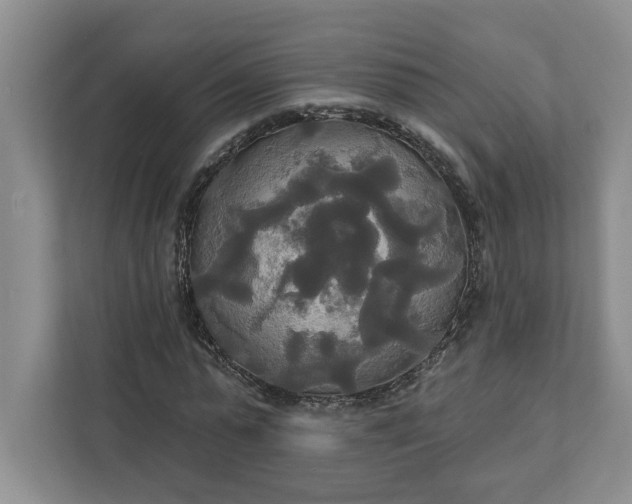 X0000111820775200908061135