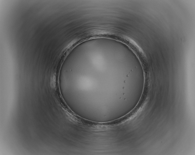 X0000111820777200908061135