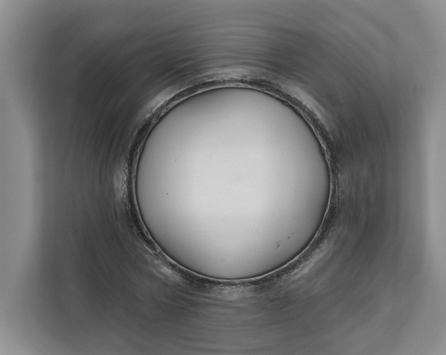 X0000111820778200908061135