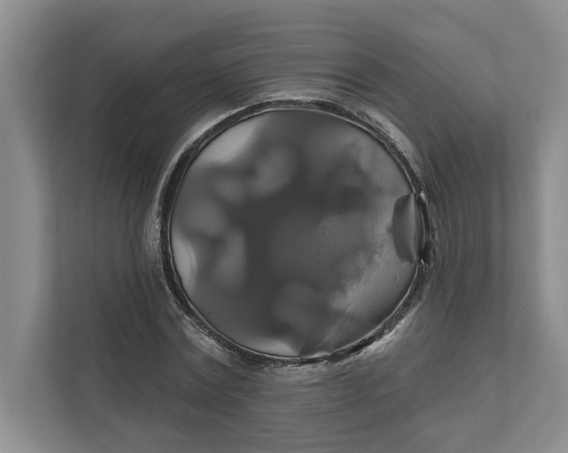 X0000111820779200908061134