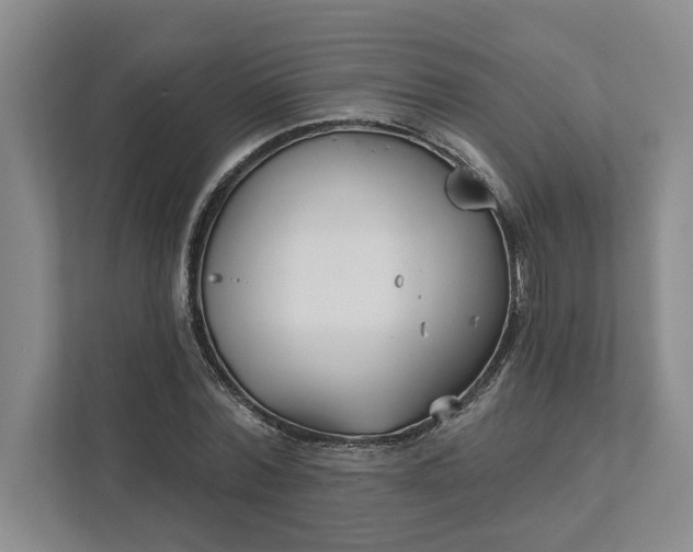 X0000111820780200908061134