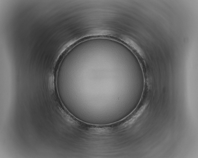 X0000111820781200908061134