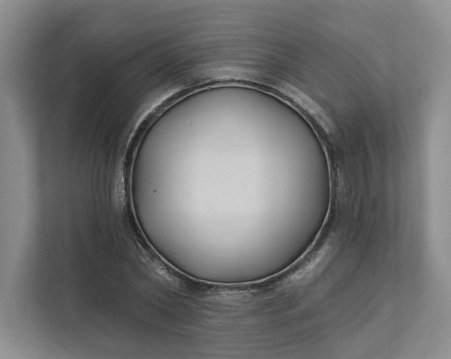 X0000111820782200908061134