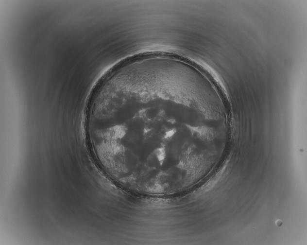 X0000111820783200908061134