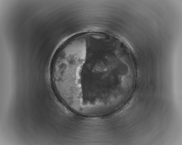 X0000111820784200908061134