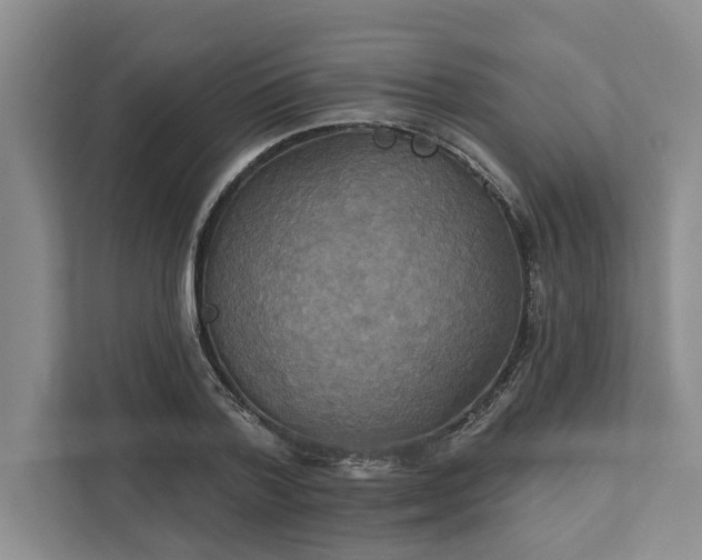 X0000111820788200908061134