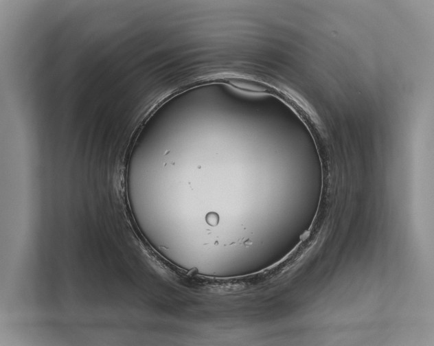 X0000111820793200908061134