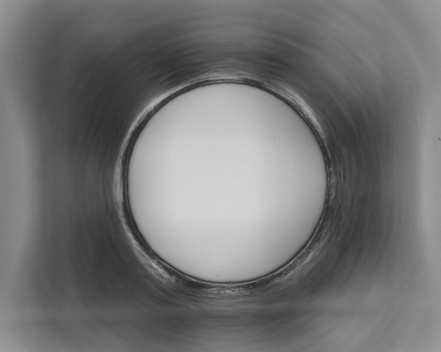 X0000111820795200908061134