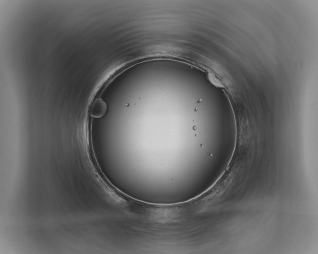 X0000111820796200908061134