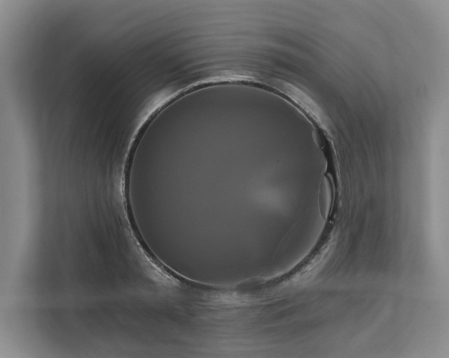 X0000111820797200908061134