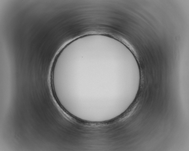 X0000111820803200908061134