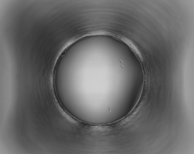 X0000111820805200908061134