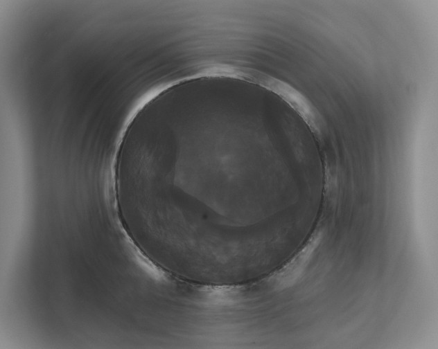 X0000111820808200908061134