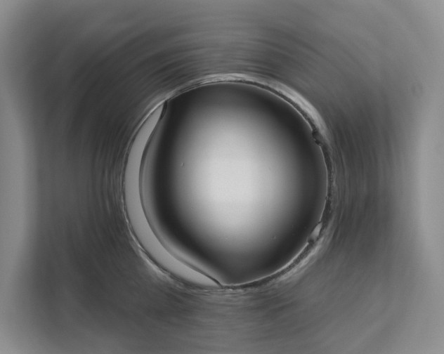 X0000111820809200908061134