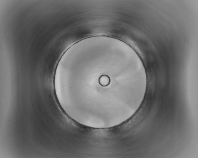 X0000111820810200908061134