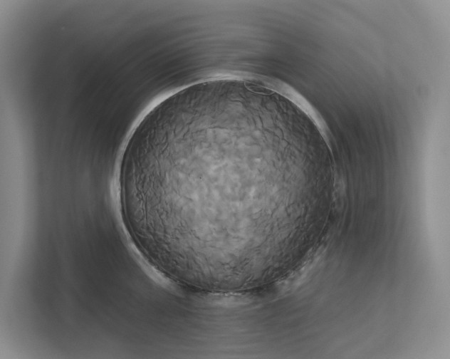 X0000111820811200908061134