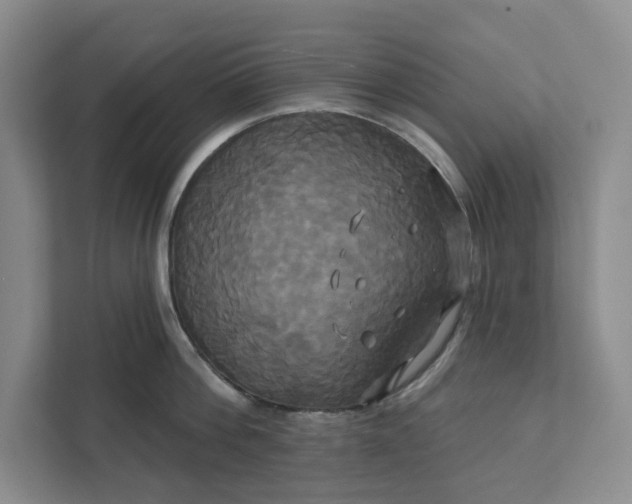 X0000111820812200908061134