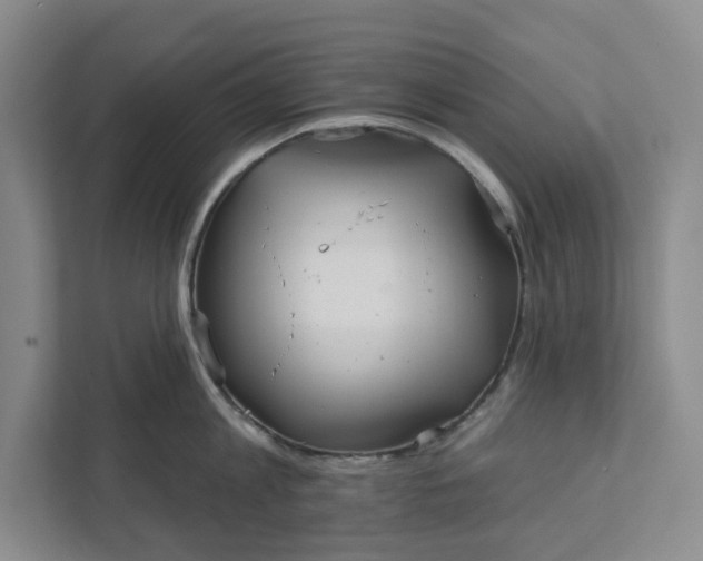 X0000111820813200908061134