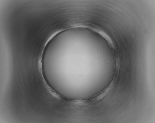 X0000111820814200908061134